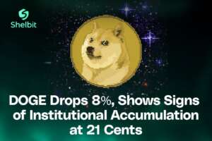 Dogecoin price drops 8 percent with signs of institutional buying at 21 cents, illustrated with pixel-style Doge logo and Shelbit branding.